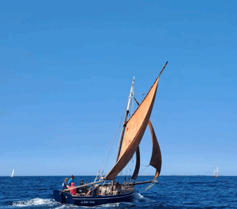 Bilan et perspectives 2025-2026